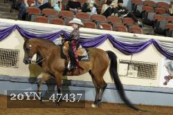 20YN_47437 thumbnail