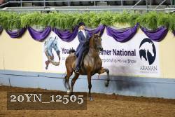 20YN_12505 thumbnail
