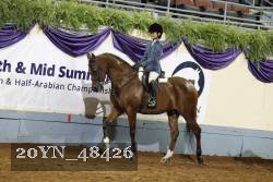 20YN_48426 thumbnail