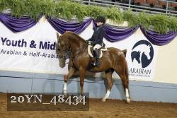 20YN_48434 thumbnail