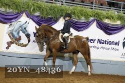 20YN_48436 thumbnail