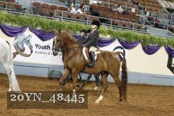 20YN_48445 thumbnail