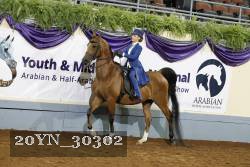 20YN_30302 thumbnail