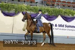 20YN_30313 thumbnail