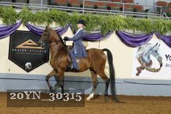 20YN_30315 thumbnail