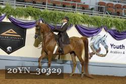 20YN_30329 thumbnail