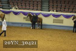 20YN_30421 thumbnail