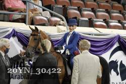 20YN_30422 thumbnail