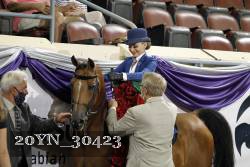 20YN_30423 thumbnail
