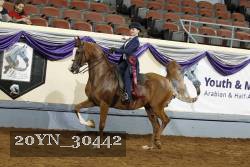 20YN_30442 thumbnail