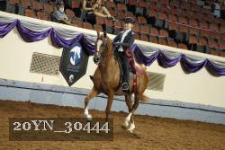 20YN_30444 thumbnail