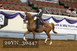 20YN_30447 thumbnail