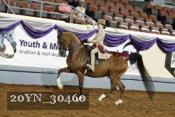 20YN_30460 thumbnail