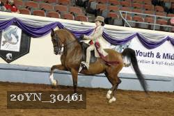 20YN_30461 thumbnail
