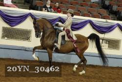 20YN_30462 thumbnail