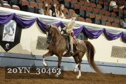 20YN_30463 thumbnail