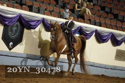 20YN_30478 thumbnail