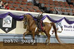 20YN_30481 thumbnail