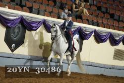 20YN_30486 thumbnail