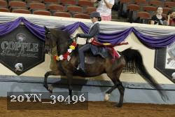 20YN_30496 thumbnail