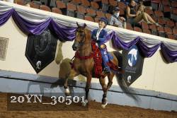 20YN_30501 thumbnail