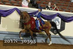 20YN_30505 thumbnail