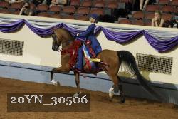 20YN_30506 thumbnail