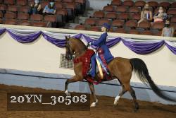 20YN_30508 thumbnail