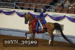 20YN_30509 thumbnail