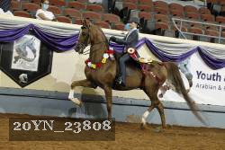 20YN_23808 thumbnail