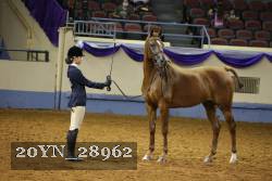 20YN_28962 thumbnail
