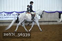 20YN_56339 thumbnail