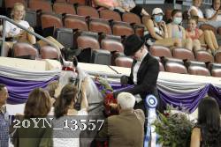 20YN_13557 thumbnail