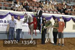 20YN_13565 thumbnail
