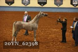 20YN_62398 thumbnail