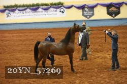 20YN_57269 thumbnail