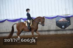 20YN_60634 thumbnail