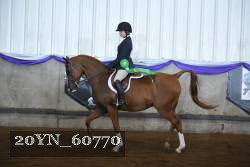 20YN_60770 thumbnail