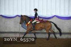20YN_65570 thumbnail