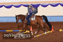 20YN_20755 thumbnail