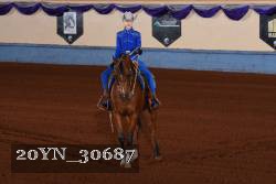 20YN_30687 thumbnail