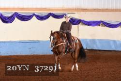 20YN_37291 thumbnail