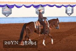 20YN_37294 thumbnail