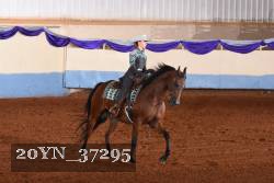 20YN_37295 thumbnail