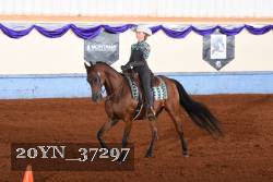 20YN_37297 thumbnail