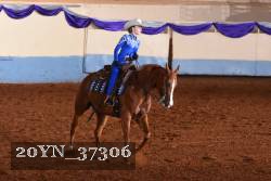 20YN_37306 thumbnail