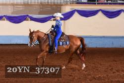 20YN_37307 thumbnail