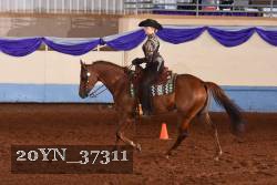 20YN_37311 thumbnail