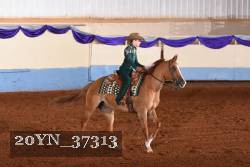 20YN_37313 thumbnail