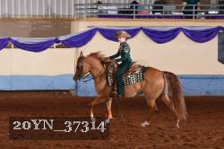 20YN_37314 thumbnail